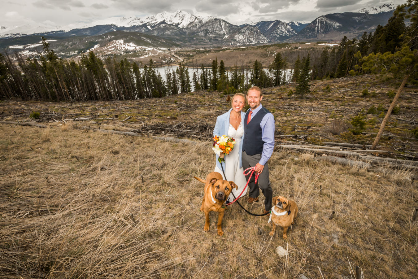 Sapphire Point Overlook Dillon Bride and Groom with Dogs in Mountains