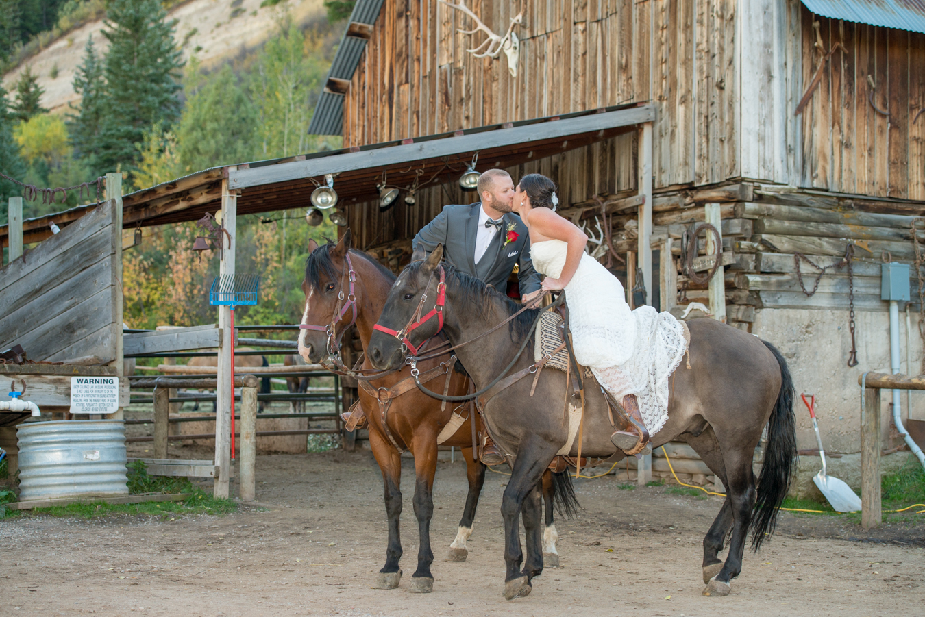 Bearcat Stables Wedding Kissing On Horses