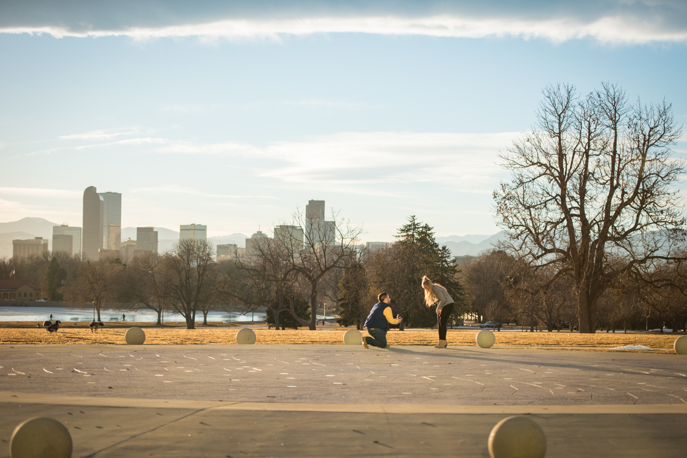 Proposal | City Park Denver | Winter