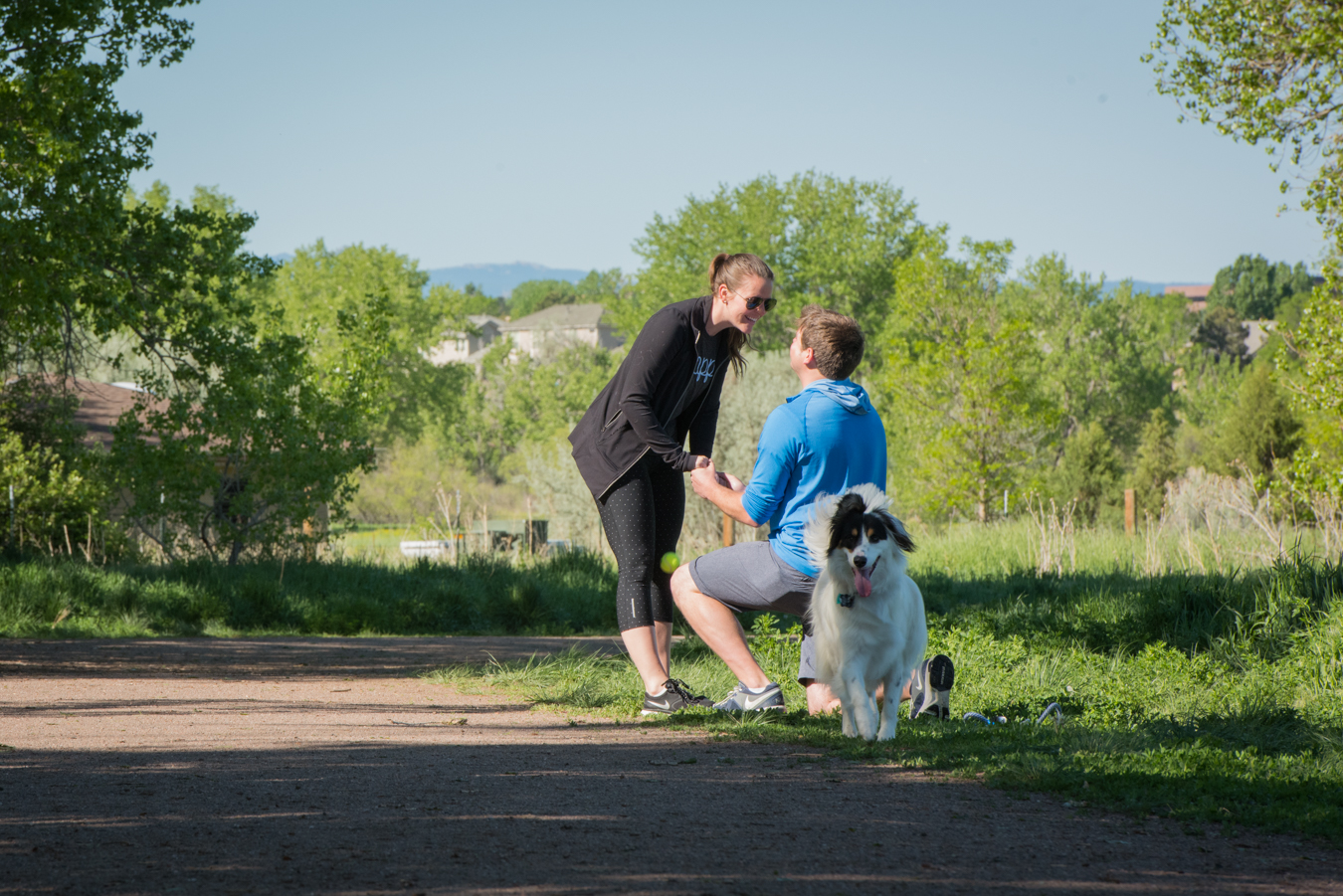 Proposal in the Cherry Creek Dog Park with your Dog