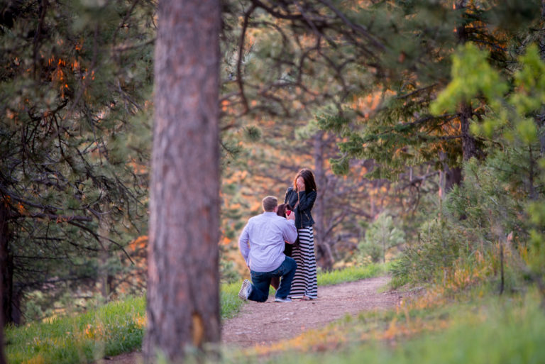 Proposal At Mt Falcon Park At Sunrise In Morrison Co 