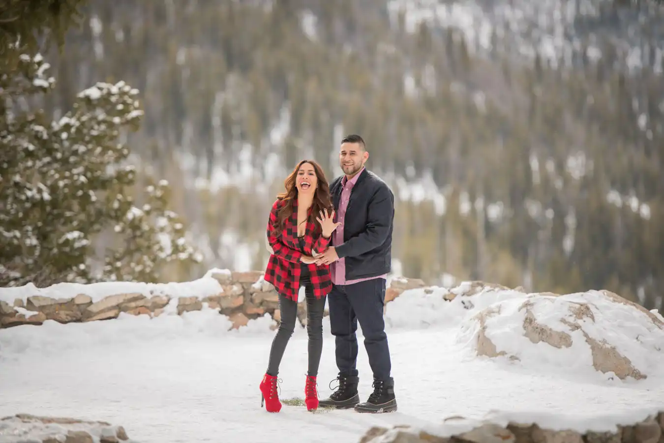 Proposal | Sapphire Point Overlook | Winter | February
