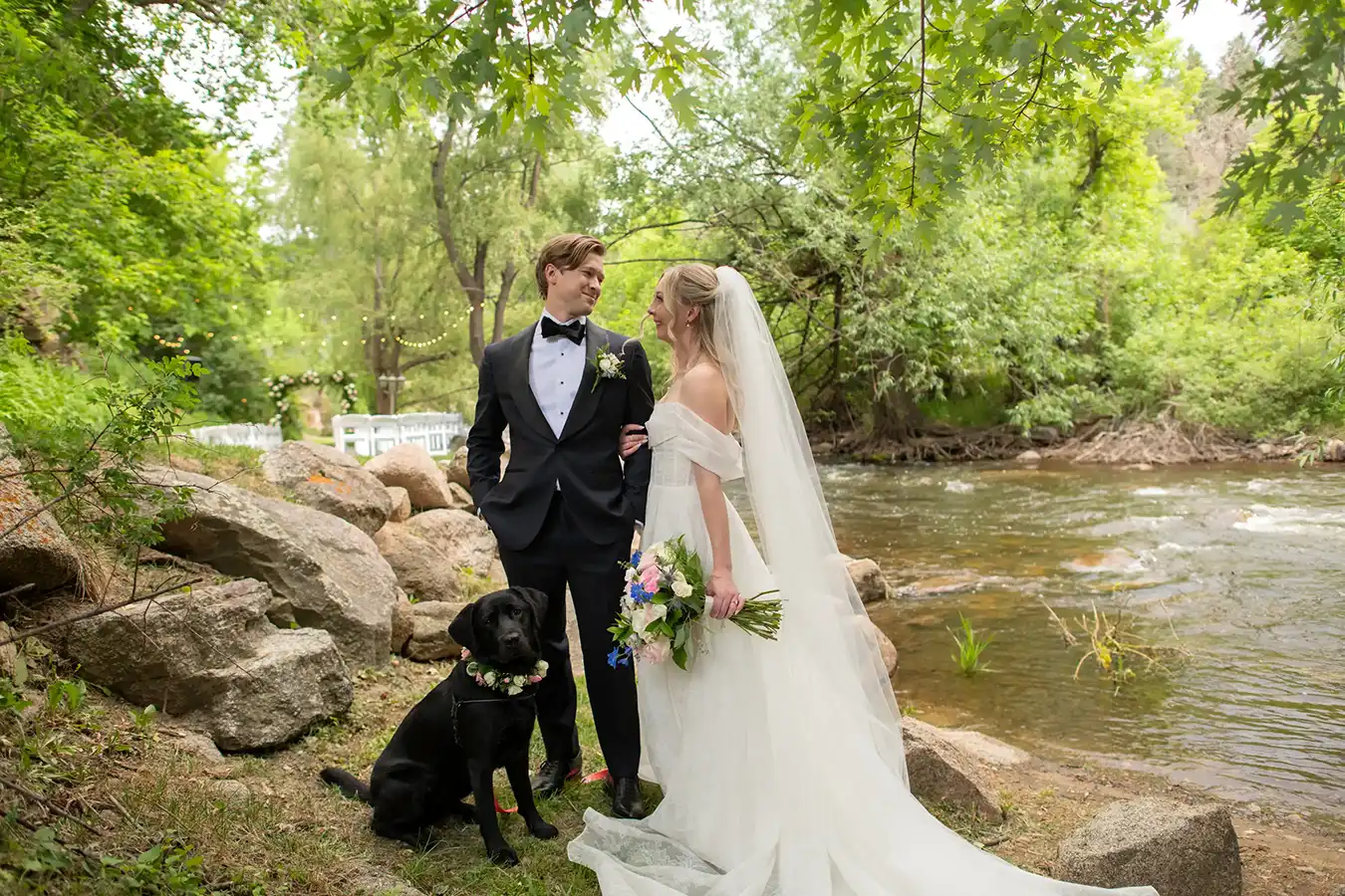 Boulder Creek Wedgewood Wedding with Black Puppy