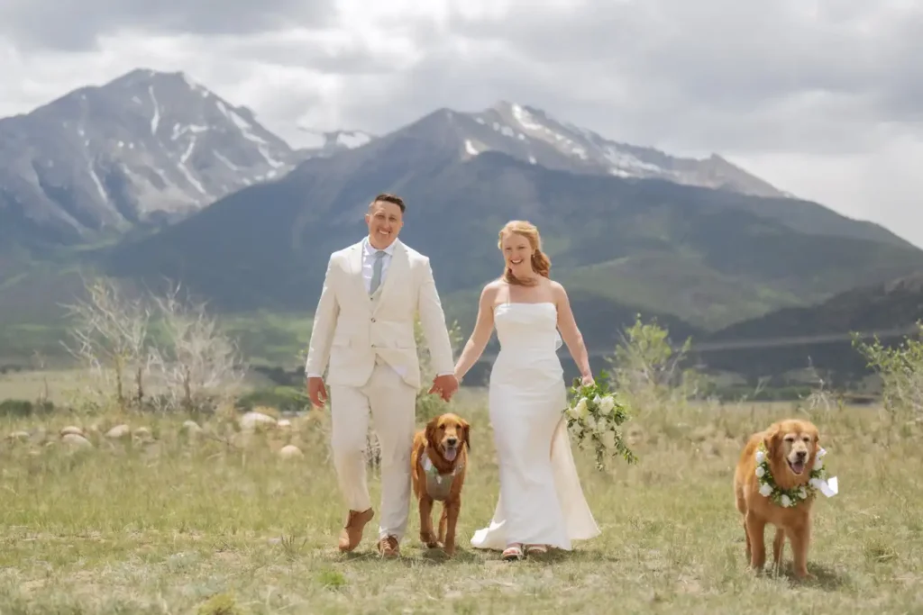 The Barn at Sunset Ranch Wedding Golden Retrievers in Mountains